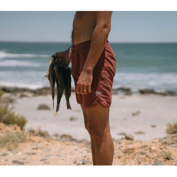 Men’s Mollusk California Scallop Board Shorts Swim Trunks Surf 32 - Picture 1 of 10